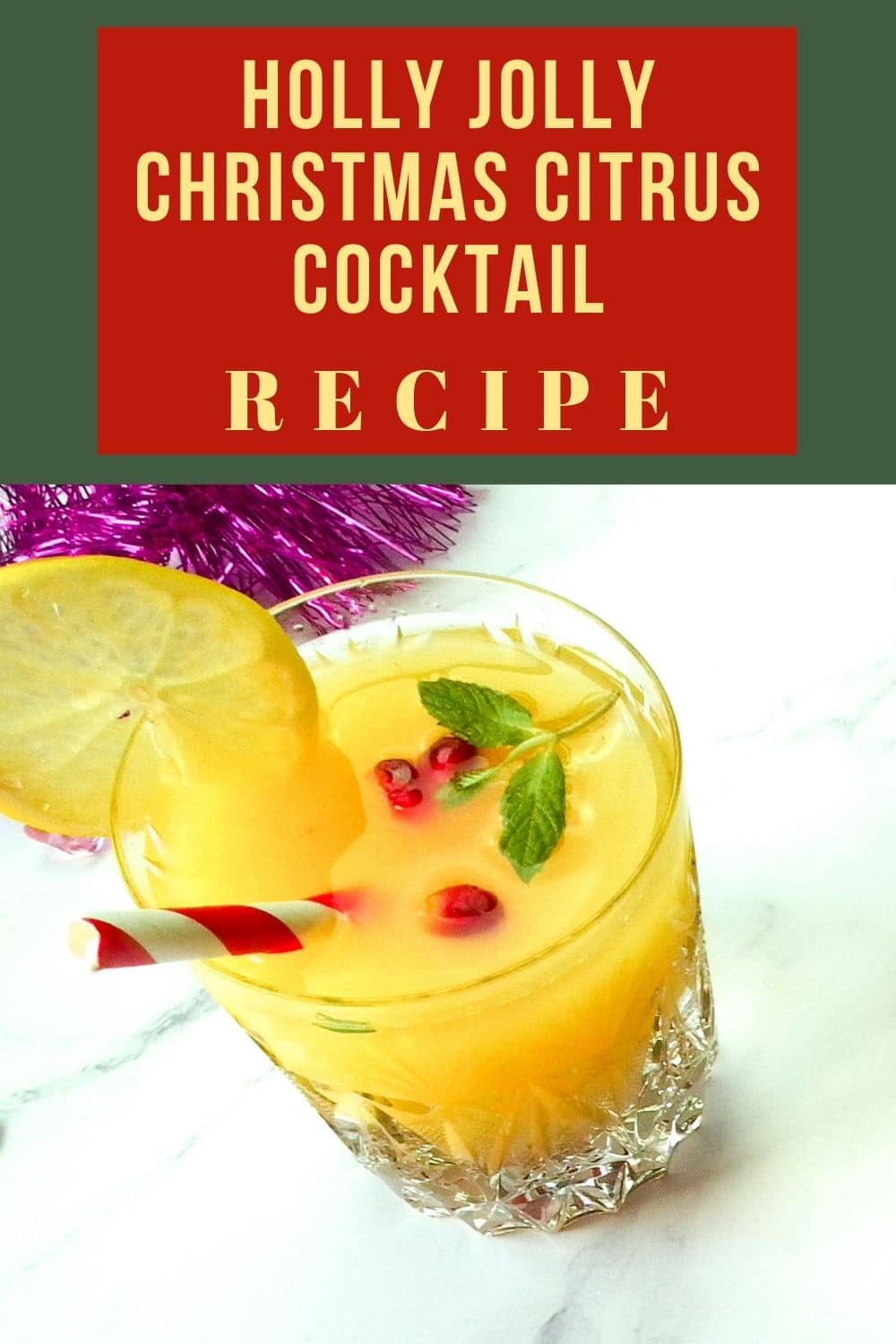 Holly Jolly Christmas Citrus Cocktail Recipe - Saving Mealtime