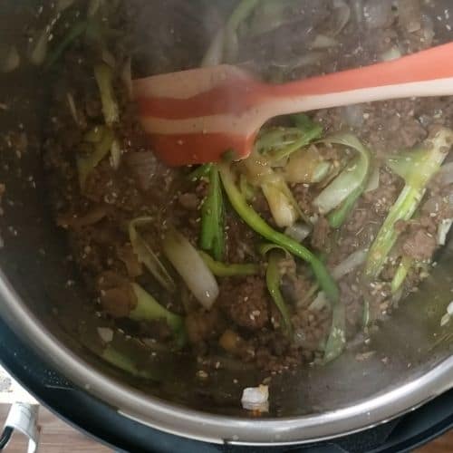Instant Pot Asian Beef